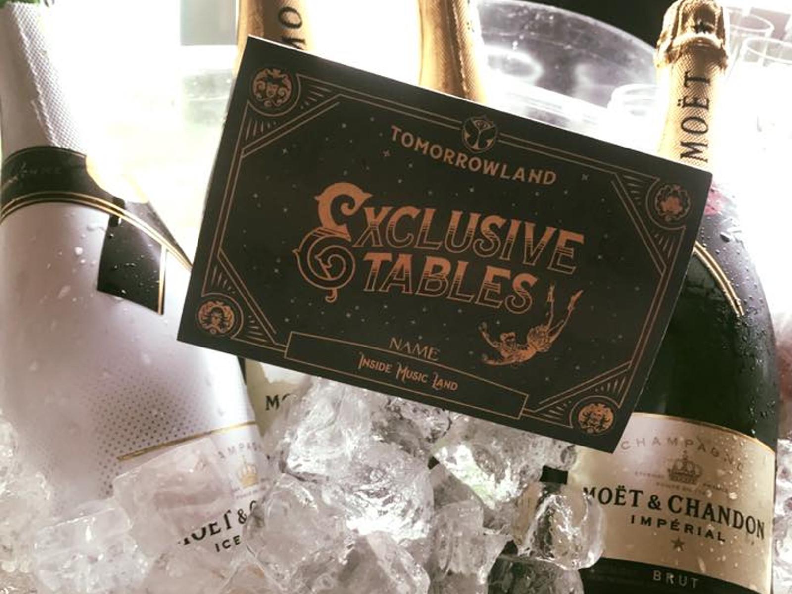 Momentos de Tomorrowland 2022 con la familia Inside